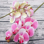 Carregue a imagem na visualização da galeria, Orquídea Borboleta 3D Decorativa - Beleza Atemporal para Sua Casa
