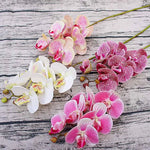 Carregue a imagem na visualização da galeria, Orquídea Borboleta 3D Decorativa - Beleza Atemporal para Sua Casa
