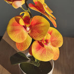 Carregue a imagem na visualização da galeria, Orquídea Artificial Elegante para Decoração de Interiores
