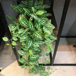 Carregue a imagem na visualização da galeria, Folhagem Artificial Tropical 100cm para Decoração de Interiores
