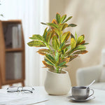 Carregue a imagem na visualização da galeria, Planta Artificial Ficus Decorativa para Casa e Escritório
