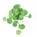 Carregue a imagem na visualização da galeria, Buquê de Folhagem Artificial Verde 15cm - Elegância e Praticidade
