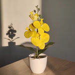 Carregue a imagem na visualização da galeria, Orquídea Artificial Elegante para Decoração de Interiores
