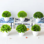 Carregue a imagem na visualização da galeria, Mini Bonsai Artificial Energético, Decorativo vívido, Decoração de Escritório

