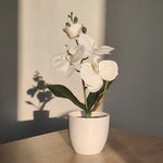 Carregue a imagem na visualização da galeria, Orquídea Artificial Elegante para Decoração de Interiores
