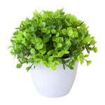 Carregue a imagem na visualização da galeria, Mini Bonsai Artificial Energético, Decorativo vívido, Decoração de Escritório
