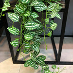 Carregue a imagem na visualização da galeria, Folhagem Artificial Tropical 100cm para Decoração de Interiores
