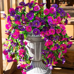 Carregue a imagem na visualização da galeria, Decoração Suspensa de Flores Artificiais 75cm - Beleza Perene
