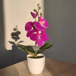 Carregue a imagem na visualização da galeria, Orquídea Artificial Elegante para Decoração de Interiores
