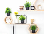 Carregue a imagem na visualização da galeria, Decoração Elegante: Plantas Artificiais Pequenas para Ambientes Modernos
