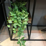Carregue a imagem na visualização da galeria, Folhagem Artificial Tropical 100cm para Decoração de Interiores
