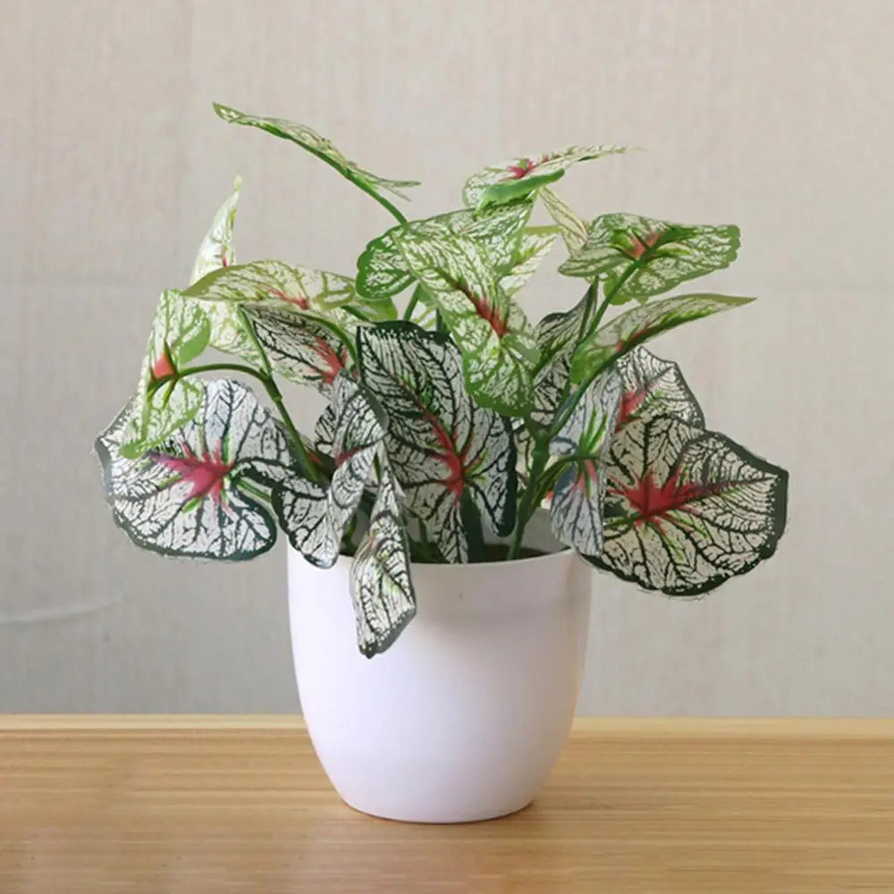 Bonsai Artificial Decorativo para Ambientes Modernos