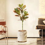 Carregue a imagem na visualização da galeria, Árvore Artificial Ficus 120cm para Decoração de Interiores
