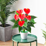 Carregue a imagem na visualização da galeria, Folhagem Artificial Monstera 53cm - Decoração Verde Vibrante
