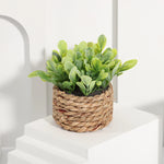 Carregue a imagem na visualização da galeria, Mini Vasos Decorativos com Plantas Artificiais Realistas
