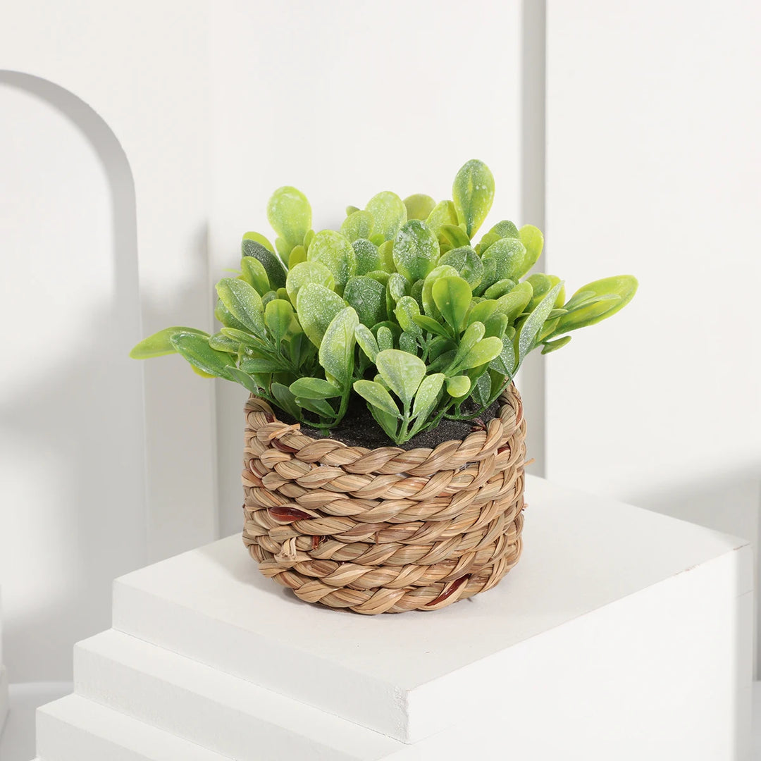 Mini Vasos Decorativos com Plantas Artificiais Realistas