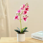 Carregue a imagem na visualização da galeria, Bonsai de Orquídea Artificial: Beleza e Elegância para Sua Decoração

