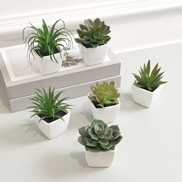 Mini Suculentas Artificiais: Beleza Natural para Sua Casa