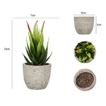 Carregue a imagem na visualização da galeria, Decoração Elegante com Mini Plantas Artificiais em Vaso

