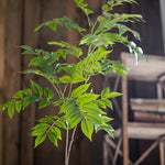 Carregue a imagem na visualização da galeria, Ficus Artificial Grande para Decoração de Jardim e Casa
