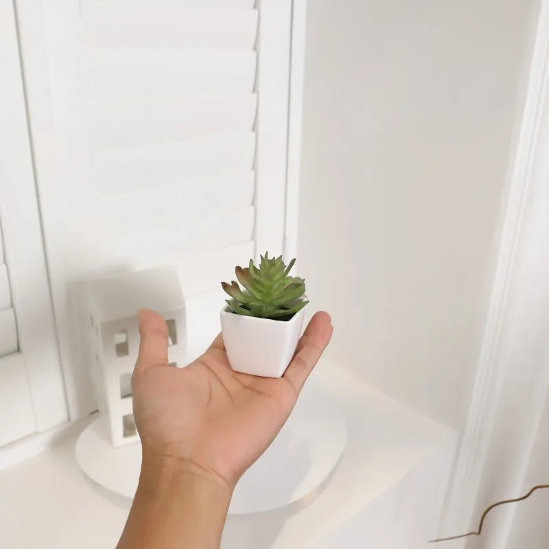 Mini Suculentas Artificiais: Beleza Natural para Sua Casa
