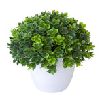 Carregue a imagem na visualização da galeria, Mini Bonsai Artificial Energético, Decorativo vívido, Decoração de Escritório
