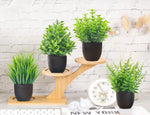 Carregue a imagem na visualização da galeria, Decoração Elegante: Plantas Artificiais Pequenas para Ambientes Modernos
