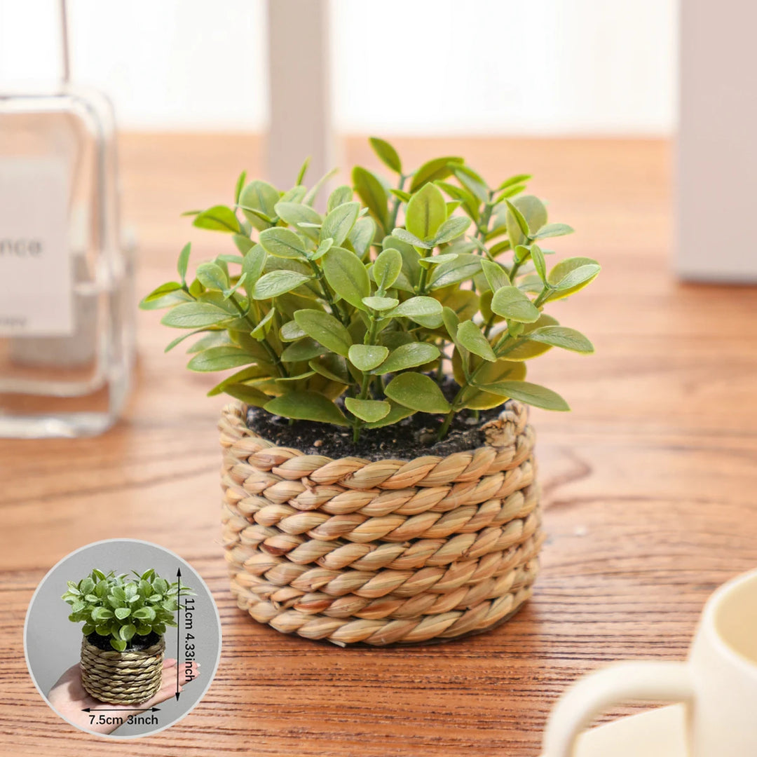 Mini Vasos Decorativos com Plantas Artificiais Realistas