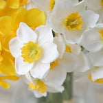 Carregue a imagem na visualização da galeria, Bouquet de Narcisos de Seda para Decoração Elegante
