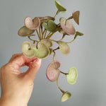 Carregue a imagem na visualização da galeria, Buquê de Folhagem Artificial Verde 15cm - Elegância e Praticidade
