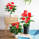 Carregue a imagem na visualização da galeria, Folhagem Artificial Monstera 53cm - Decoração Verde Vibrante
