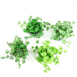 Carregue a imagem na visualização da galeria, Buquê de Folhagem Artificial Verde 15cm - Elegância e Praticidade
