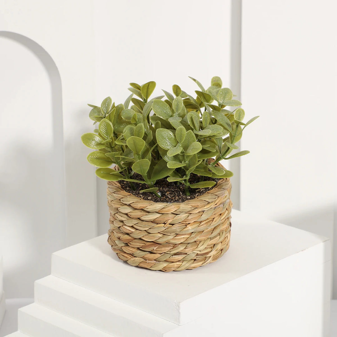 Mini Vasos Decorativos com Plantas Artificiais Realistas
