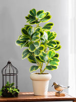 Carregue a imagem na visualização da galeria, Decoração Elegante com Plantas Artificiais de Folha de Coração
