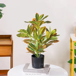 Carregue a imagem na visualização da galeria, Planta Artificial Ficus Decorativa para Casa e Escritório
