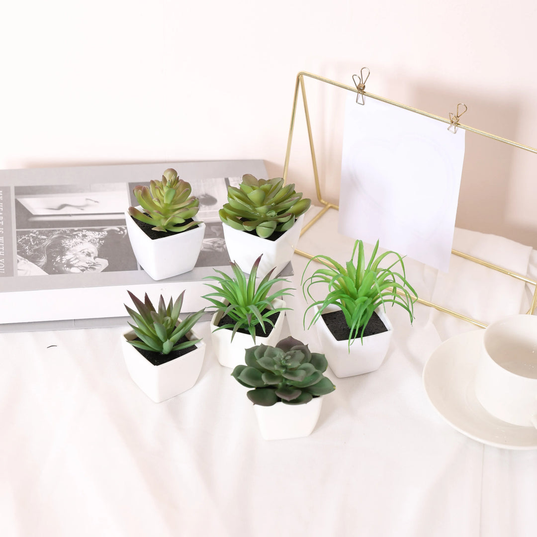 Mini Suculentas Artificiais: Beleza Natural para Sua Casa