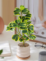 Carregue a imagem na visualização da galeria, Decoração Elegante com Plantas Artificiais de Folha de Coração
