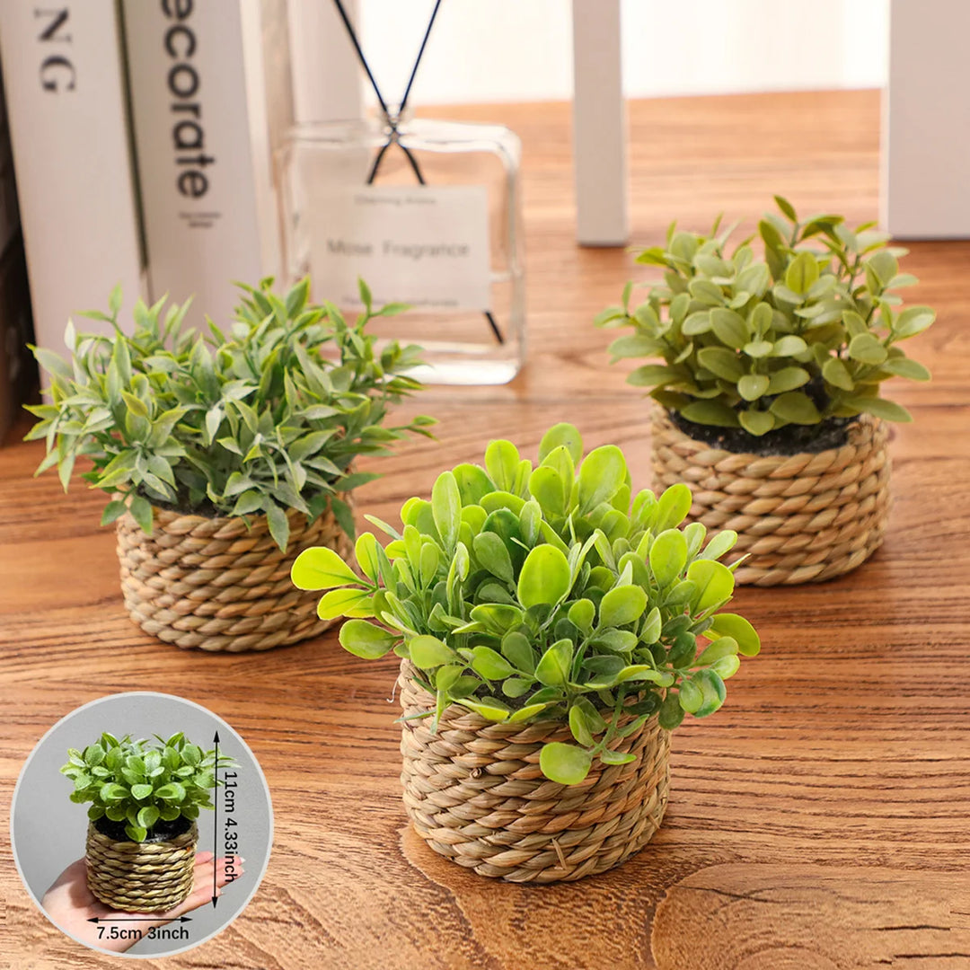 Mini Vasos Decorativos com Plantas Artificiais Realistas