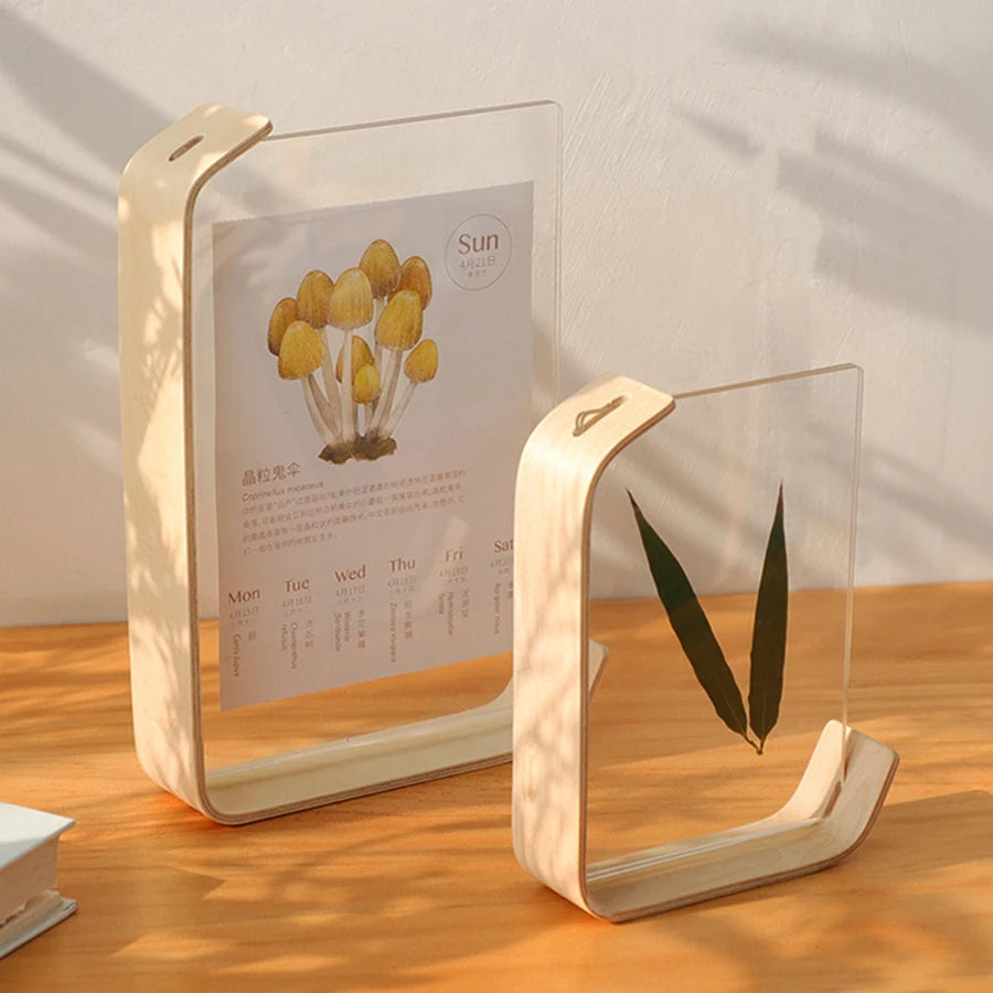 Moldura de Madeira Acrílica para Exposição Elegante