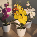 Carregue a imagem na visualização da galeria, Orquídea Artificial Elegante para Decoração de Interiores
