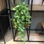 Carregue a imagem na visualização da galeria, Folhagem Artificial Tropical 100cm para Decoração de Interiores
